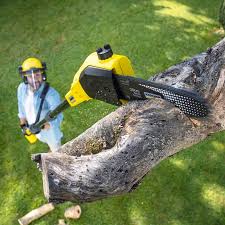 Best Tree Disease Treatment  in Remsenburg Speonk, NY